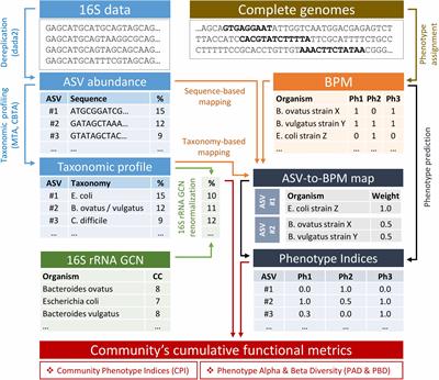 Binary Metabolic Phenotypes and Phenotype Diversity Metrics for the Functional Characterization of Microbial Communities